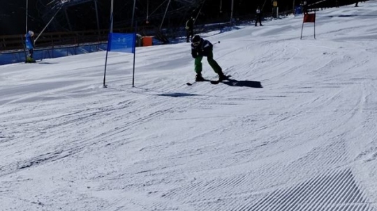 IMG-20250320-WA000m
