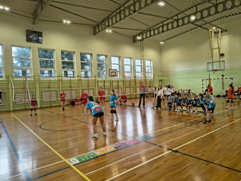 IMG-20260225-WA0008s